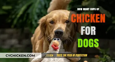 Safe Chicken Serving Sizes: How Many Cups for Your Dog?
