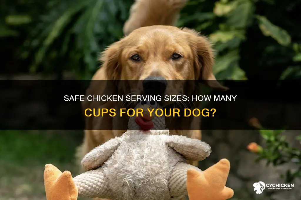 how many cups of chicken for dogs