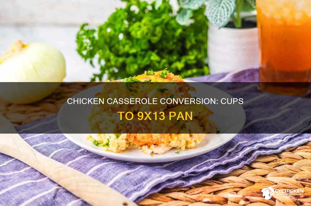 how many cups of chicken in 9x13 casserole