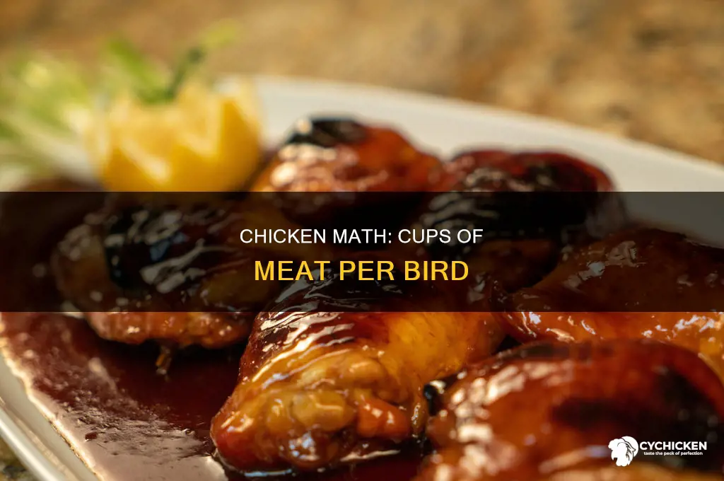 how many cups of chicken in one chicken