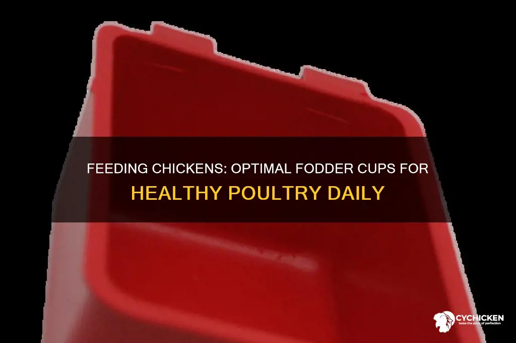how many cups of fodder per chicken
