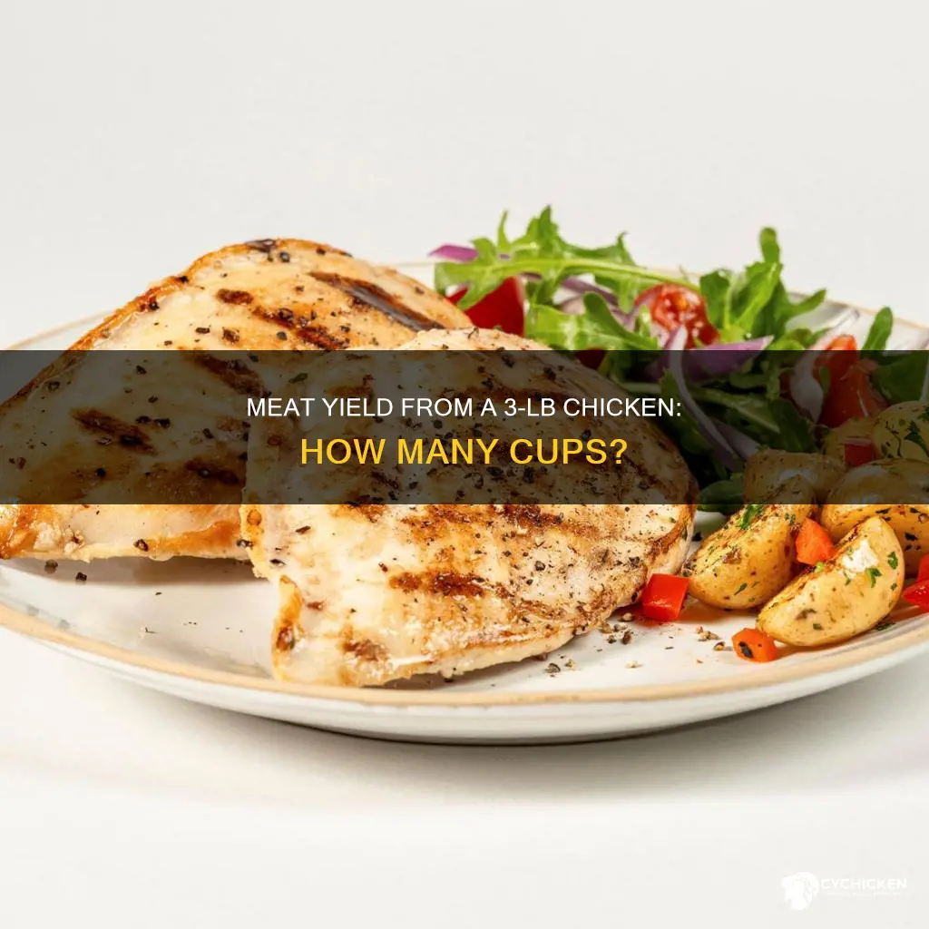 how many cups of meat in a 3 lb chicken