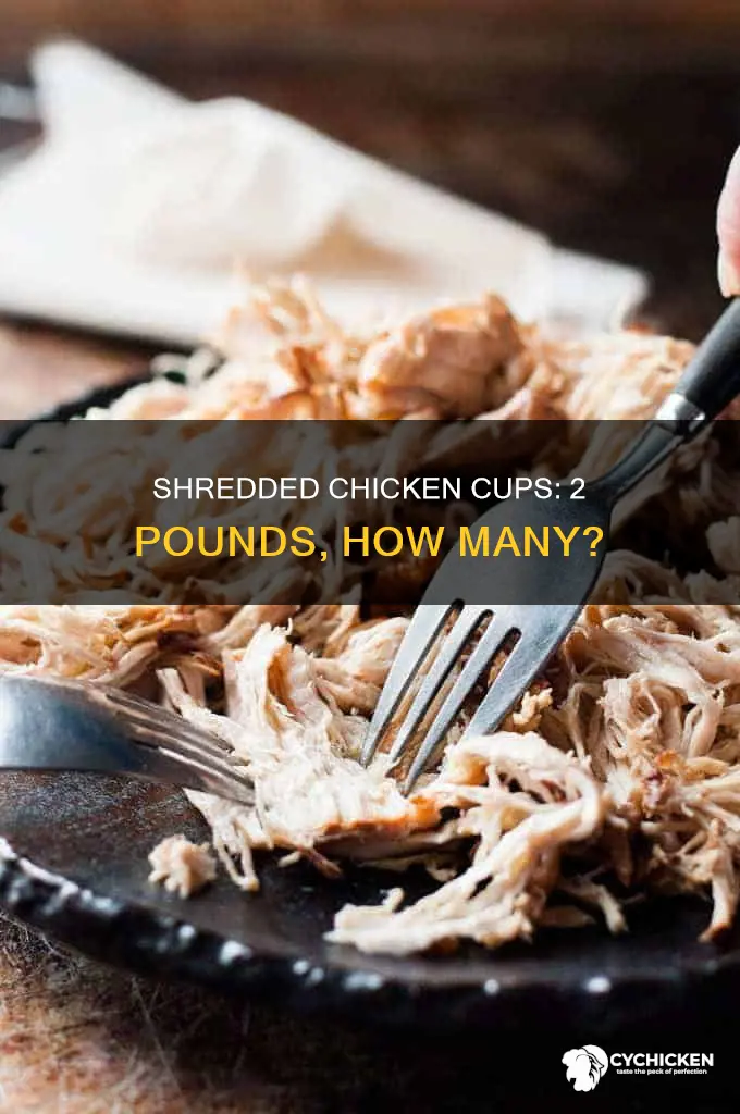 how many cups of shredded chicken are in 2lbs