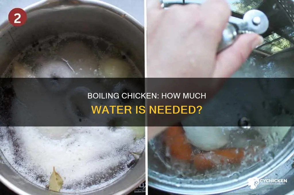 how many cups of water to boil chicken