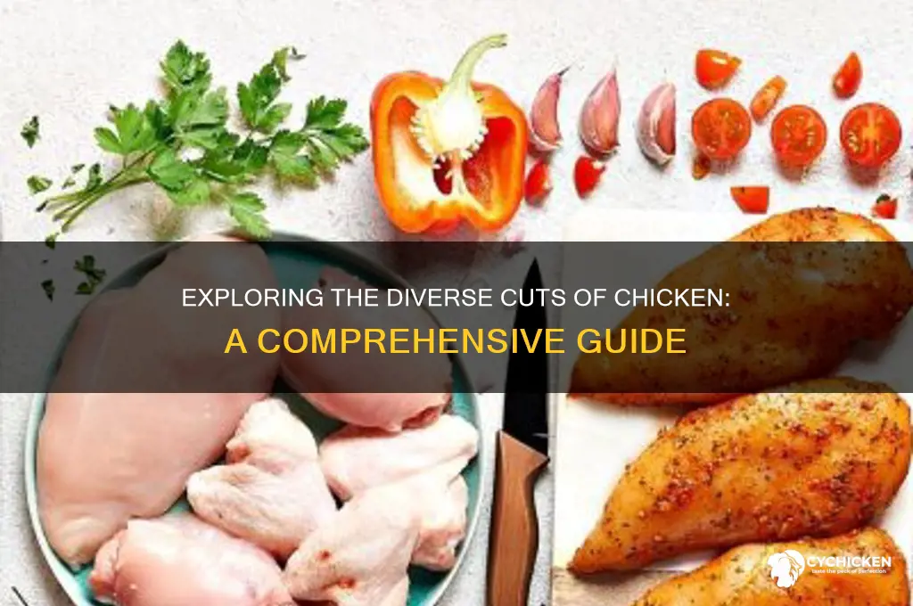 how many cuts of chicken are there