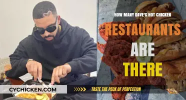 Dave's Hot Chicken: Rapid Restaurant Expansion