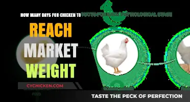 Raising Chickens: Days to Reach Market Weight
