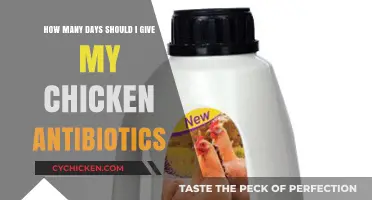 Antibiotics for Chickens: How Long is Enough?