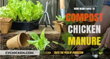 Composting Chicken Manure: A Guide to Quick and Effective Breakdown