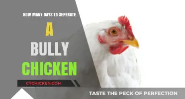 Separating the Bully: Days to Isolate an Aggressive Chicken