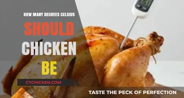 Perfect Chicken Temperature: Ideal Celsius Degrees for Safe Cooking