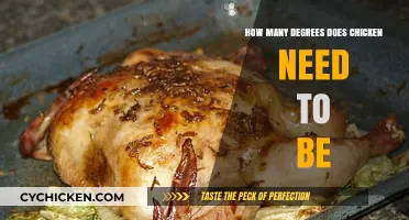Perfectly Safe Chicken: Cooking Temperature Precision