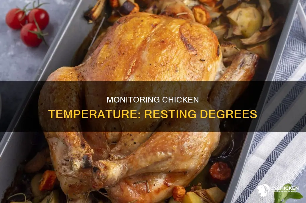 how many degrees will chicken raise while resting