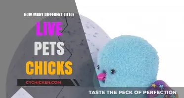 Discover the Variety of Little Live Pets Chicks Available for Kids