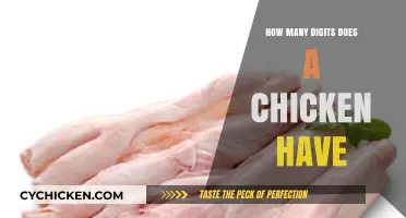 Unveiling the Truth: How Many Digits Does a Chicken Really Have?