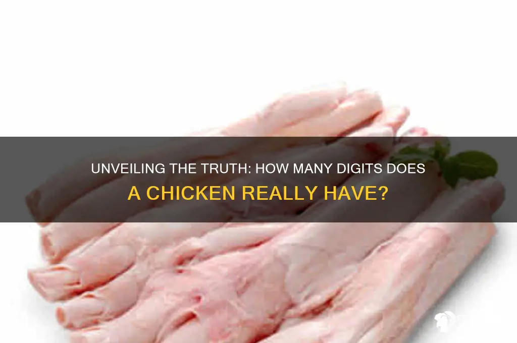 how many digits does a chicken have