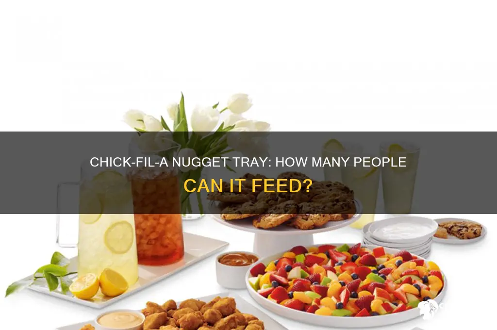 how many does a chick fil a nugget tray feed