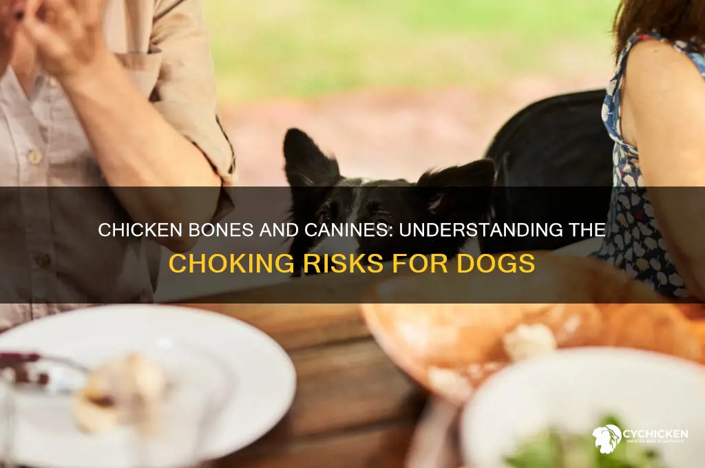 how many dogs choke on chicken bones