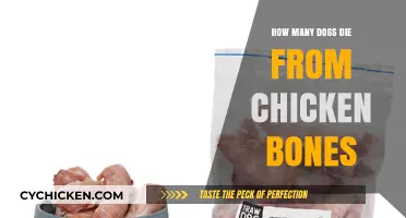 Chicken Bones Danger: How Many Dogs Die Annually?