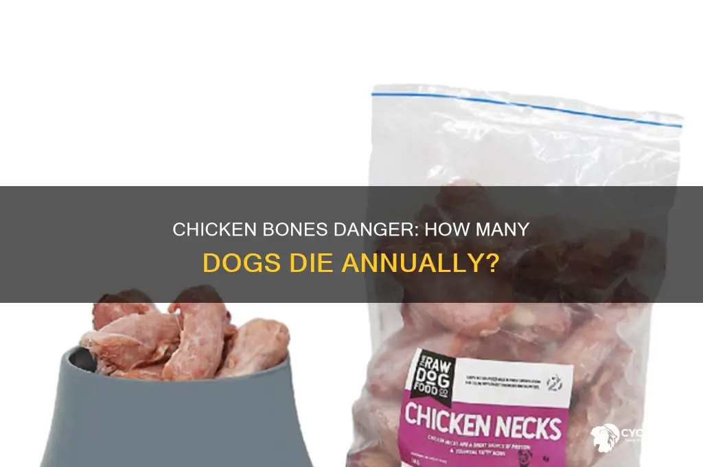 how many dogs die from chicken bones