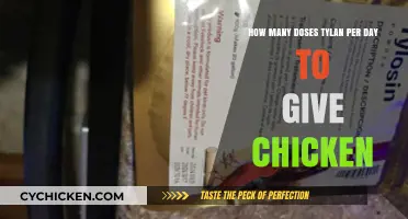 Effective Tylan Dosage for Chickens: How Many Doses?