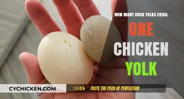 Duck Yolks vs Chicken Yolks: Equivalent Measurements