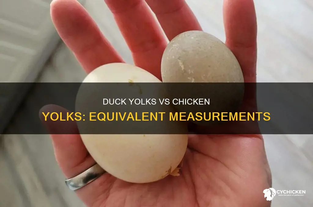 how many duck yolks equal one chicken yolk