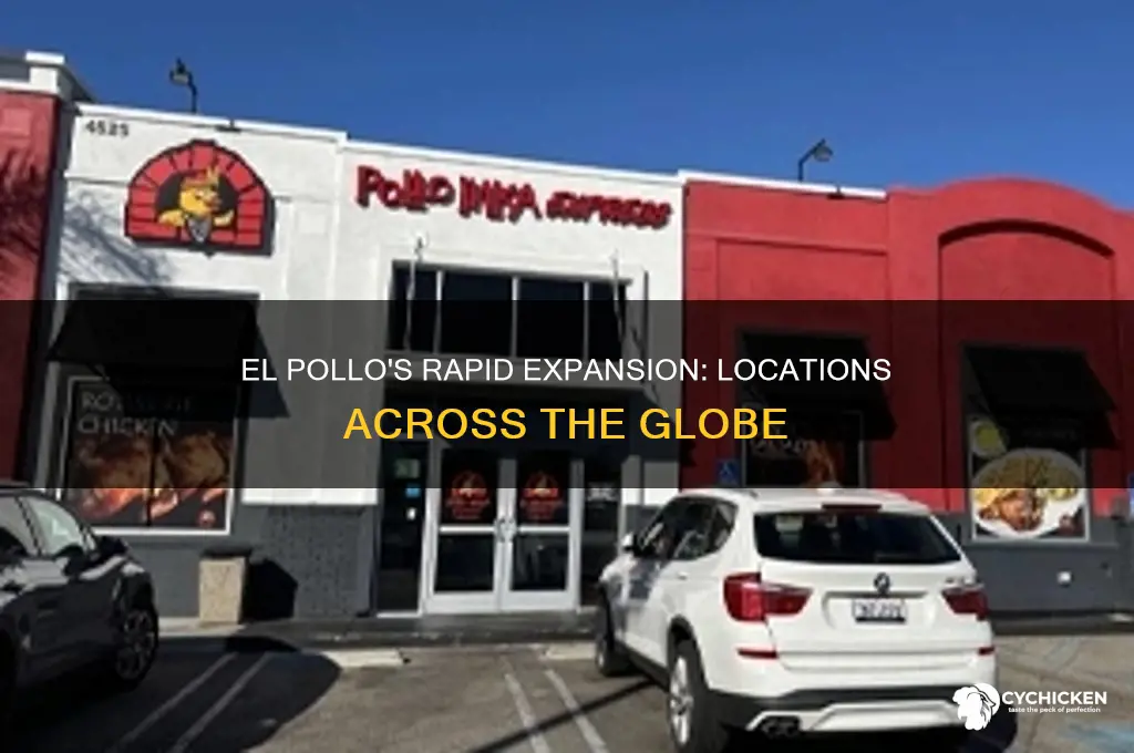 how many el pollo chicken locations are there