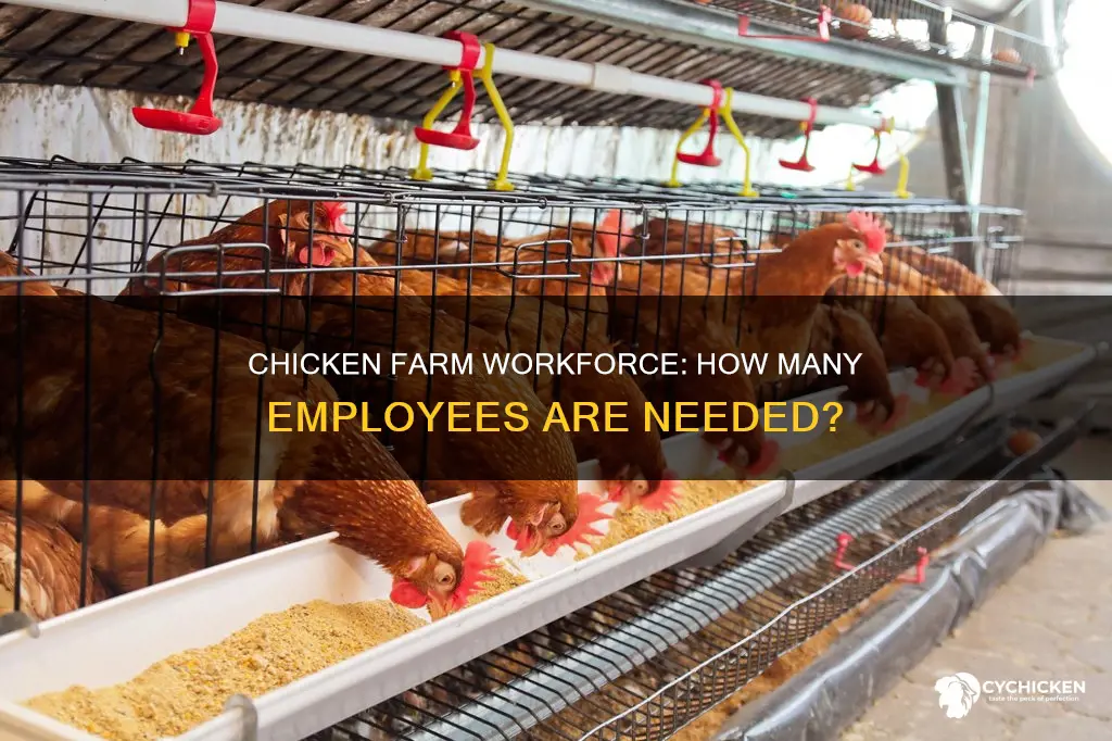 how many employees work on a large chicken farm