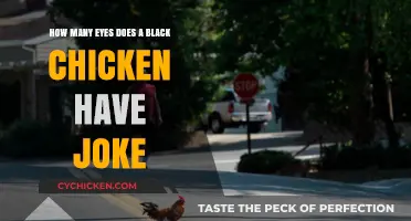 Black Chickens and Their Eyes: A Joke Explained