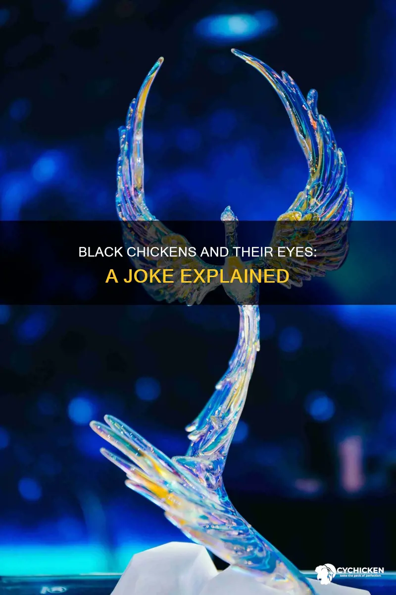 how many eyes does a black chicken have joke
