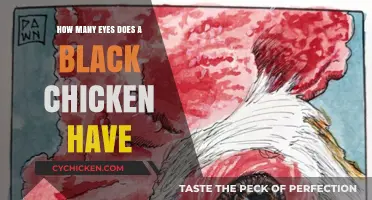 Black Chickens: How Many Eyes Do They Have?