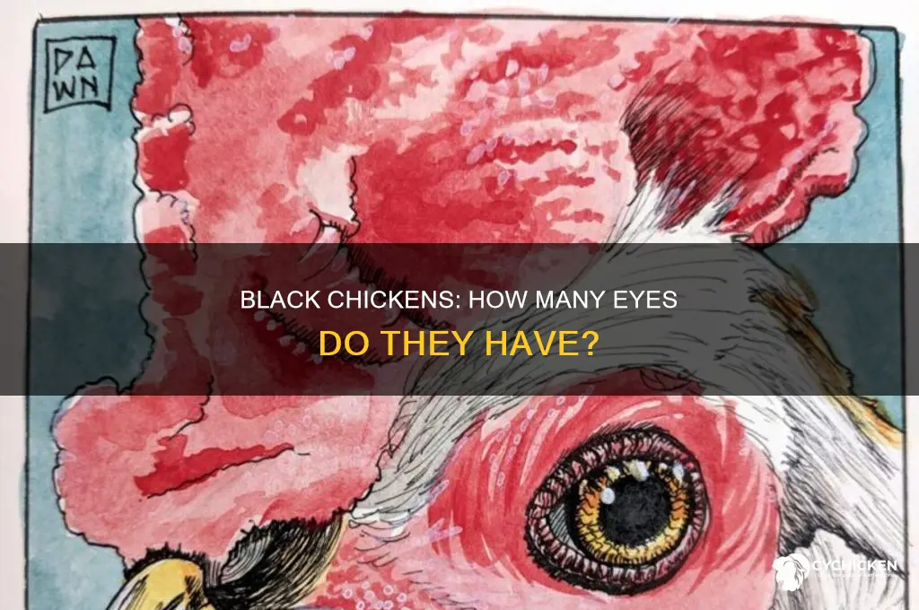 how many eyes does a black chicken have