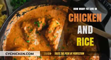 Chicken and Rice: How Much Fat?