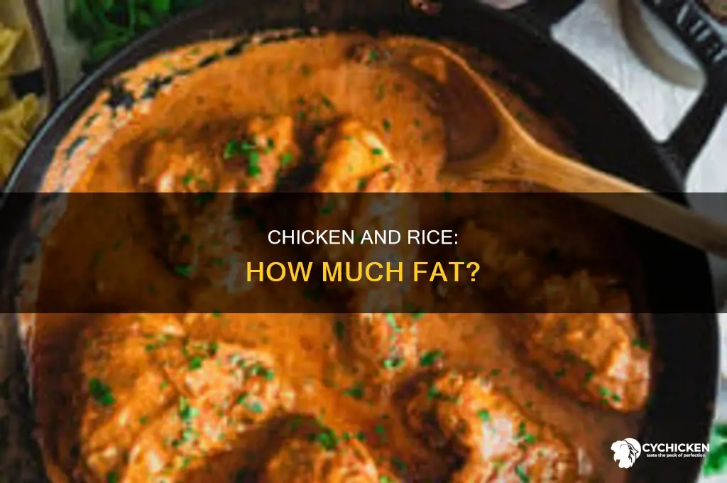 how many fat are in chicken and rice