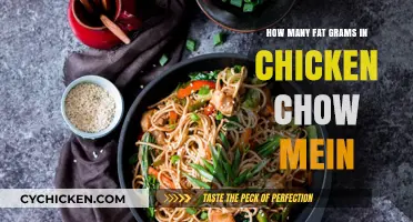 Fat Facts: Chicken Chow Mein Edition
