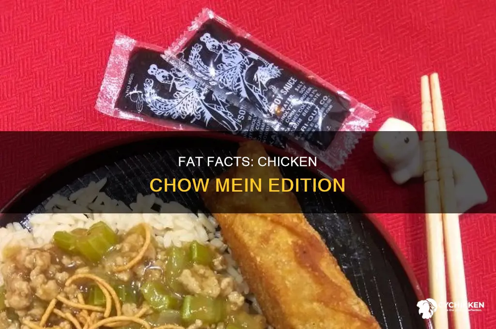 how many fat grams in chicken chow mein