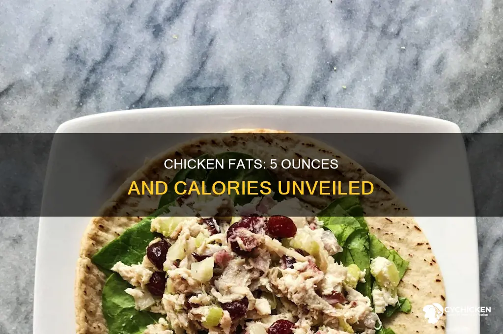 how many fats in 5 oz of chicken