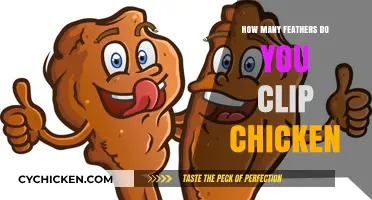 Clipping Chicken Wings: Essential Feather Care for Healthy Birds