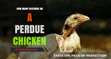 Perdue Chickens' Feather Count: Uncovering the Surprising Truth