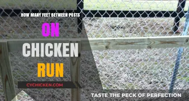 Chicken Run Posts: Feet Between for Stability