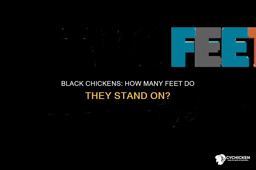 how many feet does a black chicken have