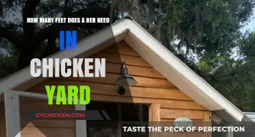Space for Happy Hens: Chicken Yard Feet