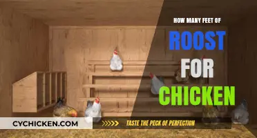 Optimal Roosting Space: How Many Feet Do Chickens Need?