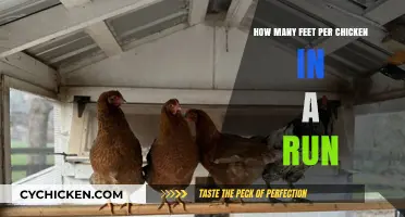 Chicken Runs: Feet of Space per Chicken
