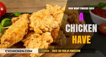 Unveiling the Truth: How Many Fingers Does a Chicken Really Have?