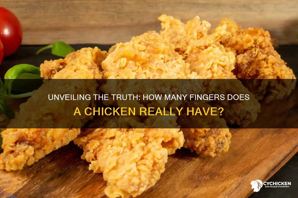 how many fingers does a chicken have