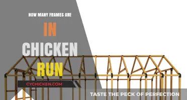 Unveiling the Frame Count in the Animated Classic Chicken Run
