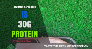 Protein-rich Chicken Meals: How Much to Eat?