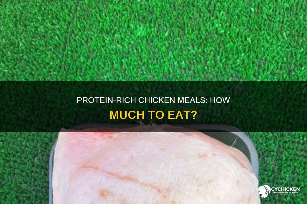 how many g of chicken is 30g protein